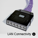 LAN Connectivity
