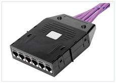 Rapid Net Fibre