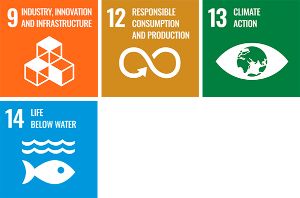 Product activities aligned with UN SDGs