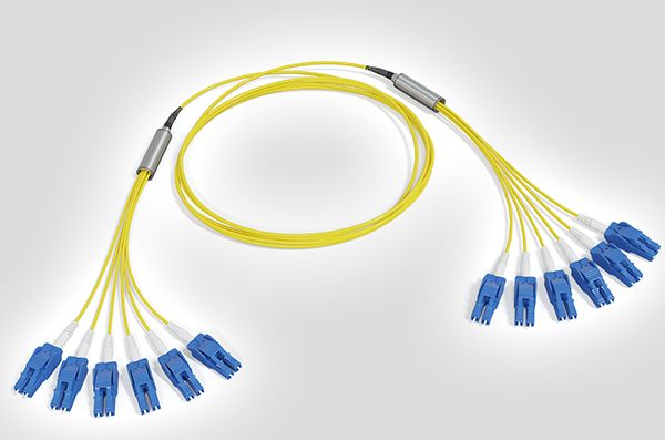 Multi-Fibre Assemblies