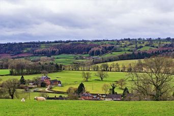 Home - Rural