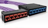 Pre-terminated Short Body RapidNet